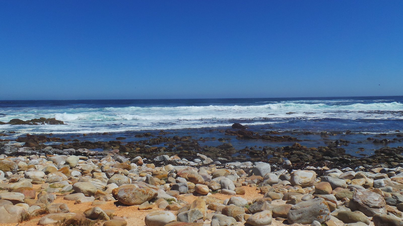 Cape of Good Hope02